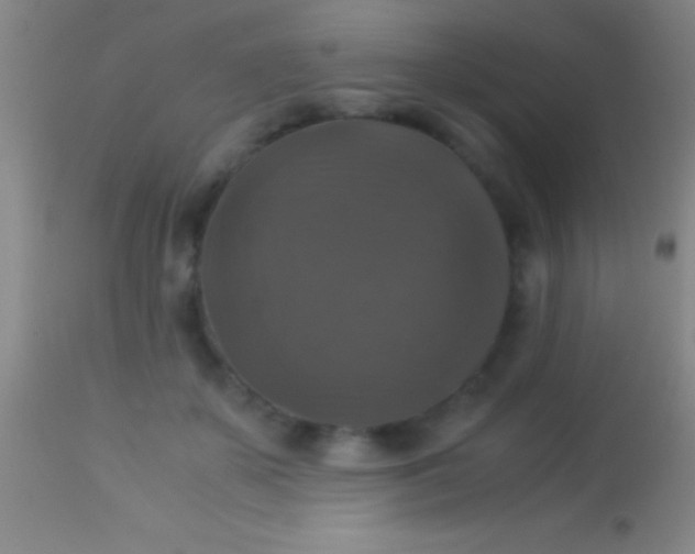 X0000113950507200910161942