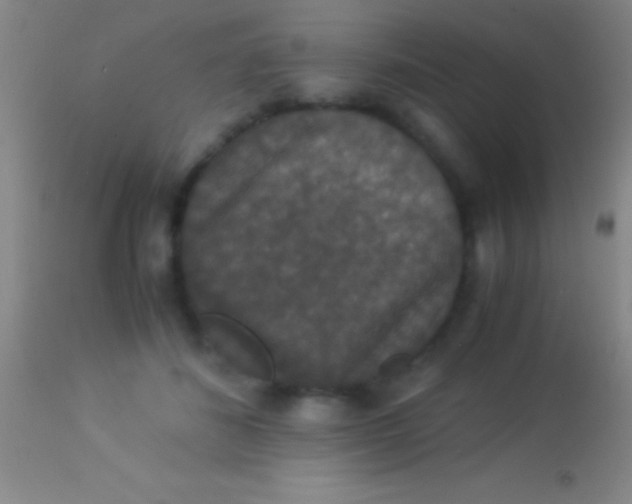 X0000113950508200910161942