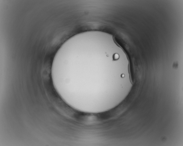 X0000113950509200910161942