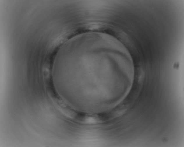 X0000113950510200910161942