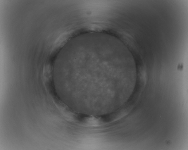 X0000113950511200910161942