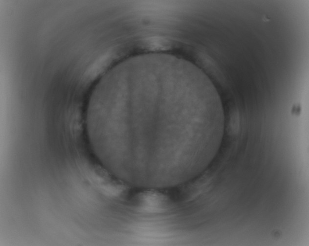 X0000113950512200910161942