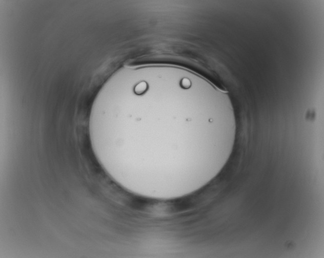 X0000113950513200910161942