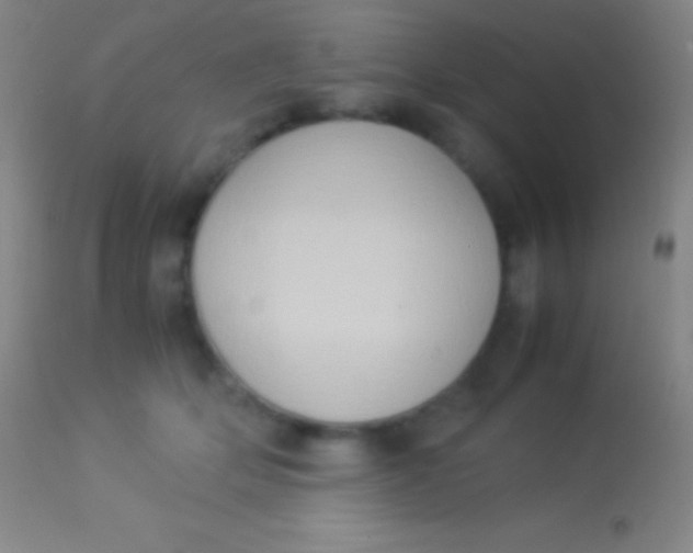 X0000113950514200910161942