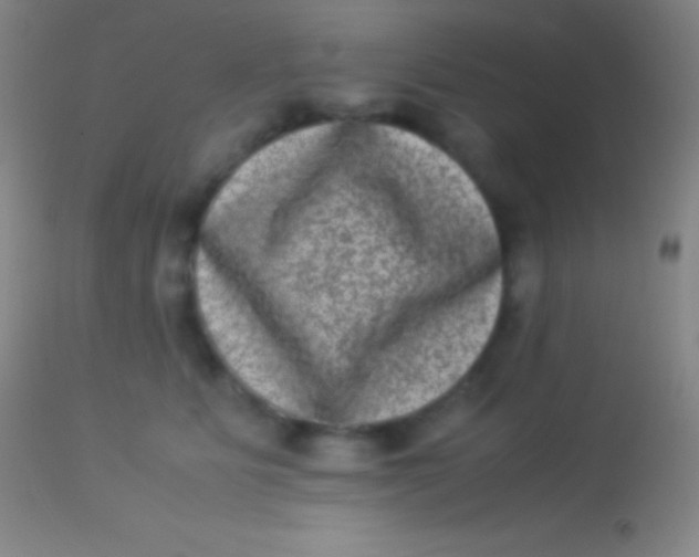 X0000113950515200910161942