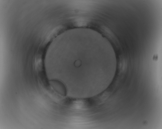 X0000113950516200910161942