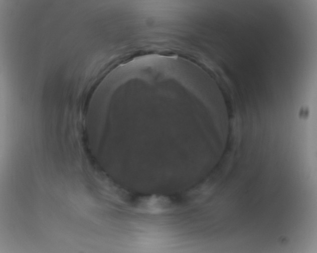 X0000113950517200910161942