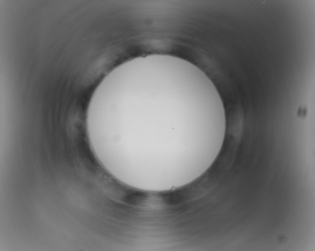 X0000113950518200910161942