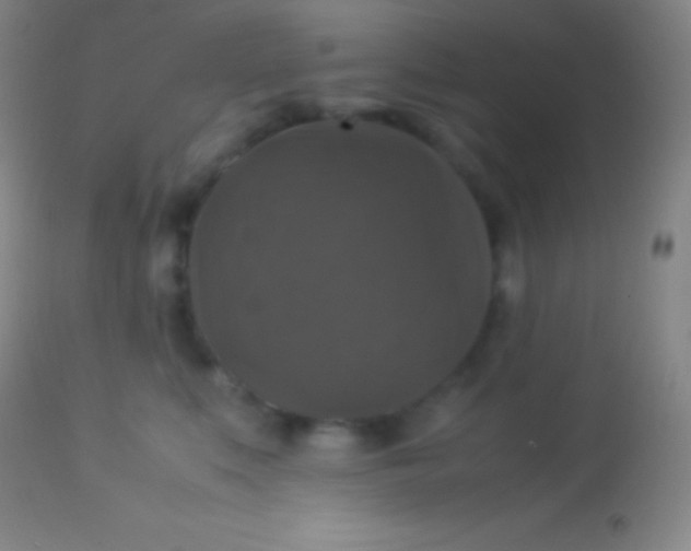 X0000113950519200910161942