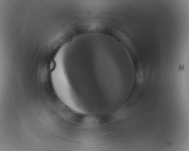 X0000113950520200910161942