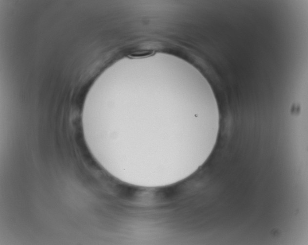 X0000113950521200910161942