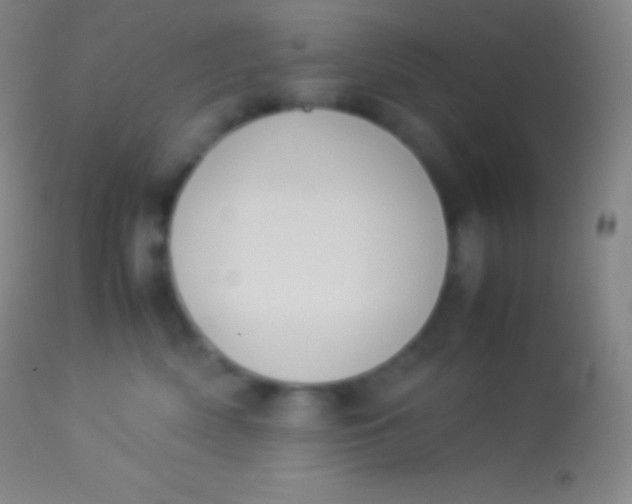 X0000113950522200910161942