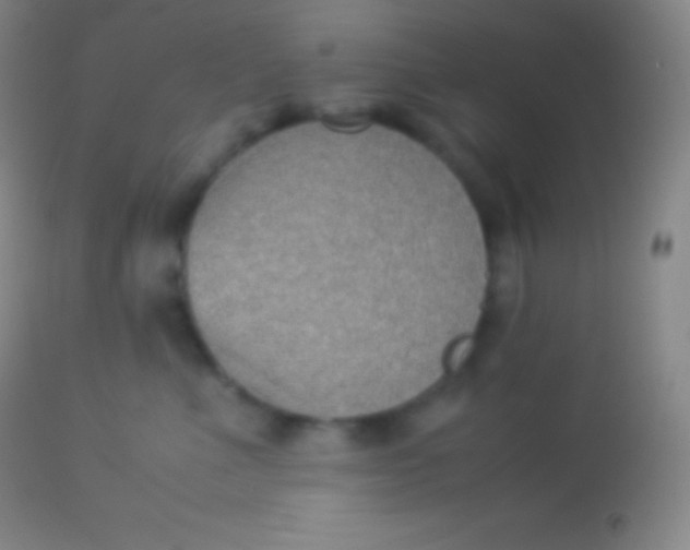X0000113950523200910161942