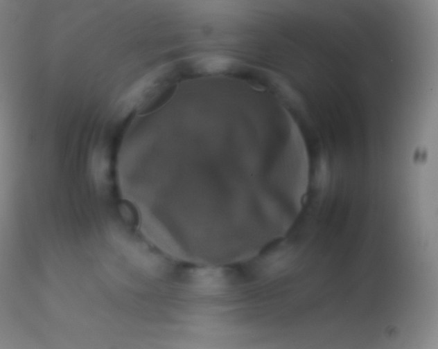 X0000113950524200910161942