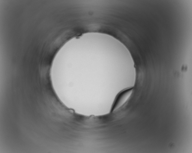 X0000113950525200910161942