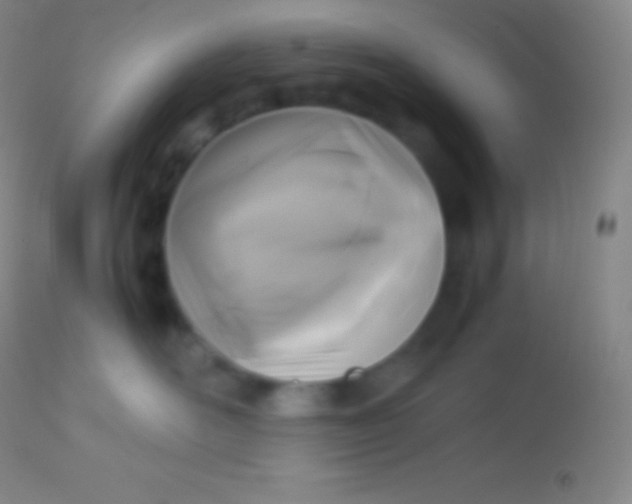 X0000113950526200910161942