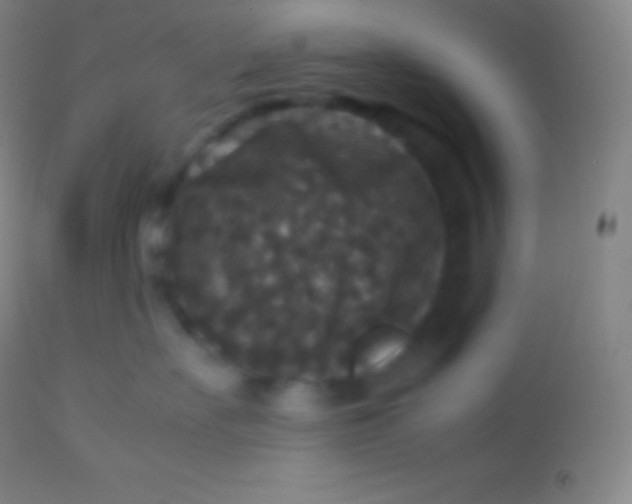 X0000113950527200910161942