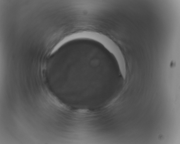 X0000113950528200910161942
