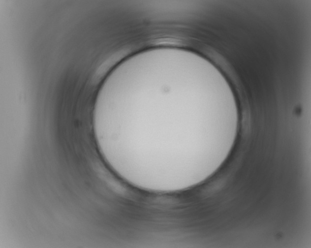 X0000113950529200910161941