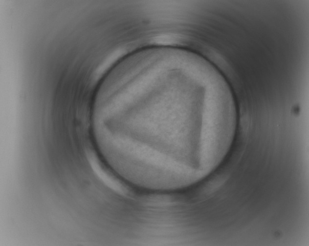 X0000113950530200910161941