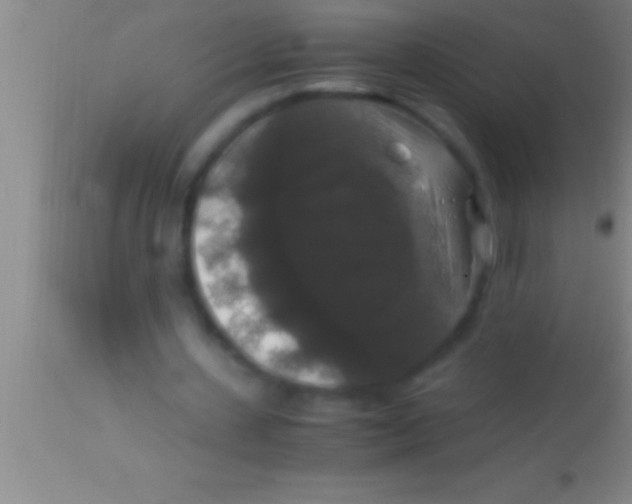 X0000113950531200910161941