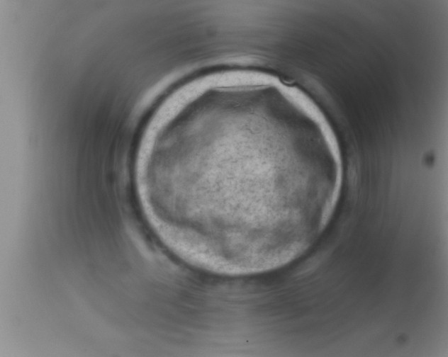 X0000113950532200910161941