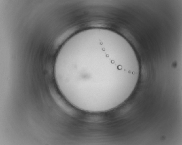 X0000113950533200910161941
