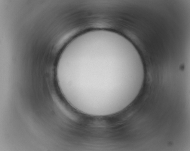 X0000113950535200910161942