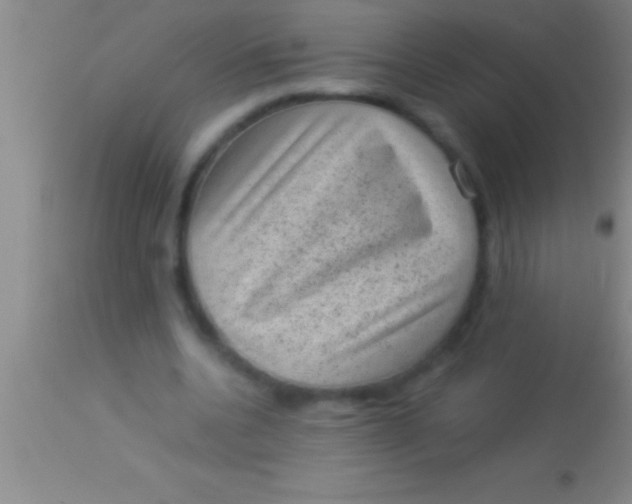 X0000113950536200910161942