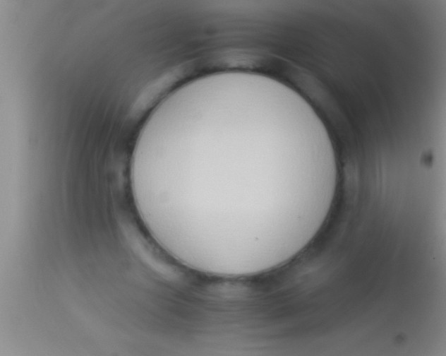 X0000113950537200910161942