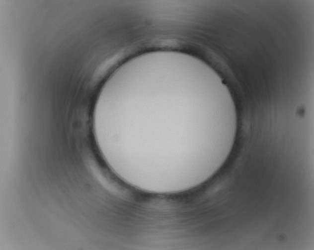 X0000113950538200910161942