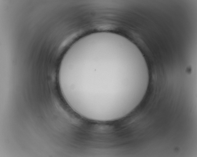 X0000113950539200910161942