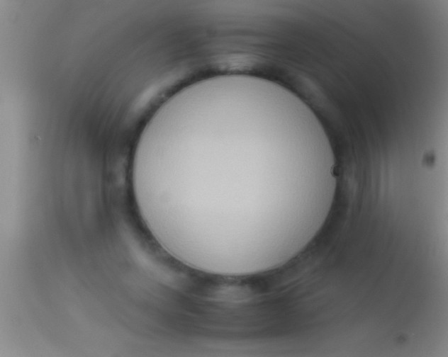 X0000113950543200910161942