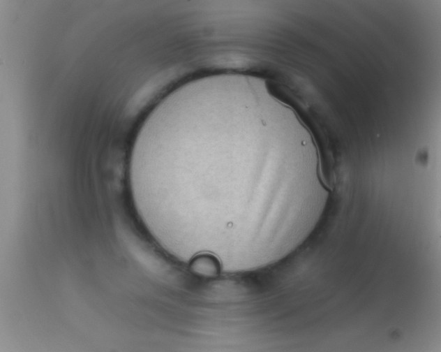 X0000113950544200910161942
