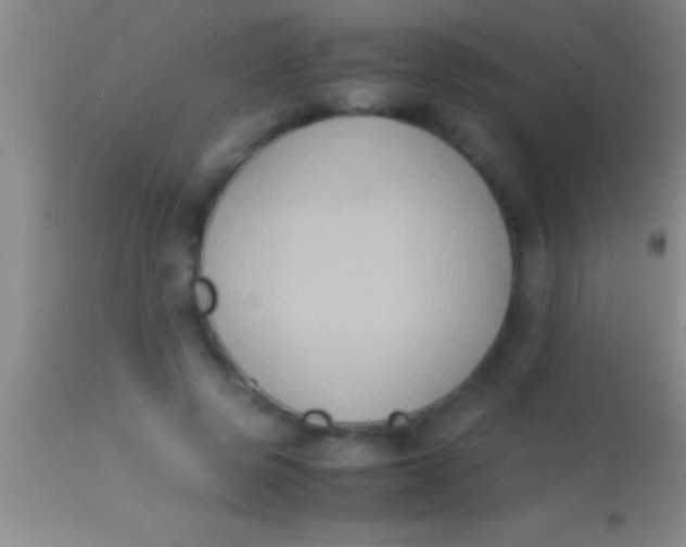 X0000113950545200910161942