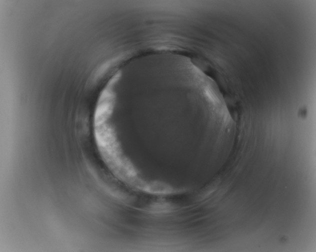 X0000113950547200910161942