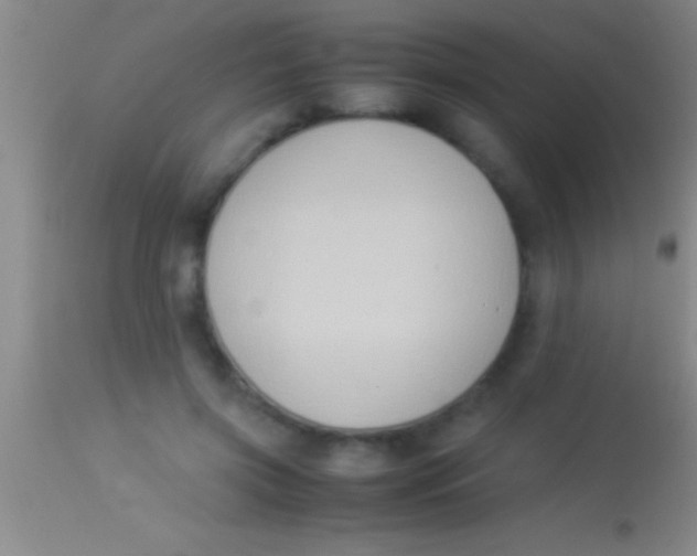 X0000113950549200910161942