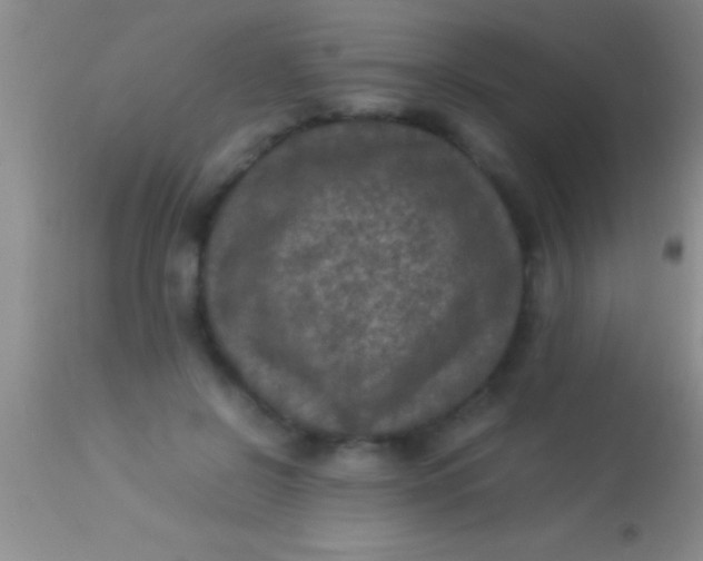 X0000113950550200910161942