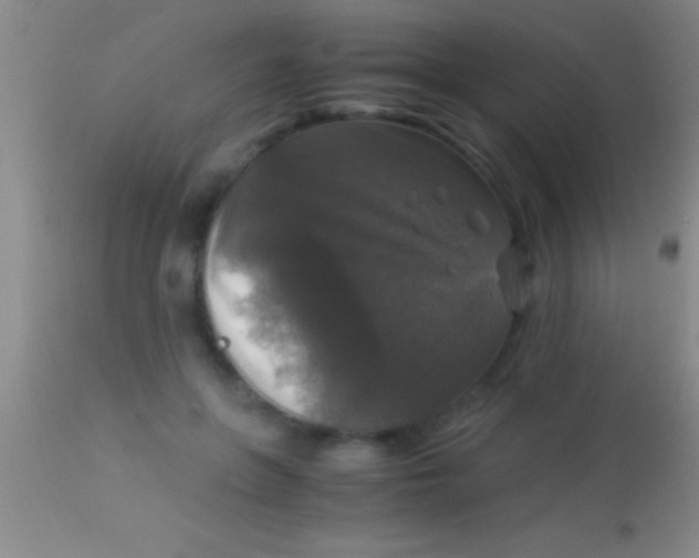 X0000113950551200910161942