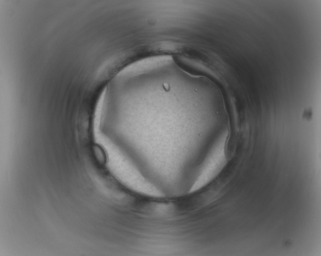 X0000113950552200910161942
