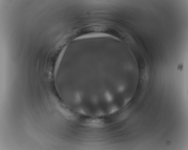 X0000113950553200910161942