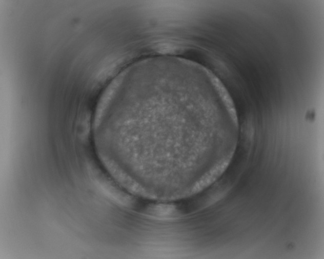 X0000113950554200910161942