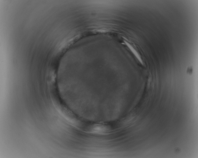 X0000113950555200910161942
