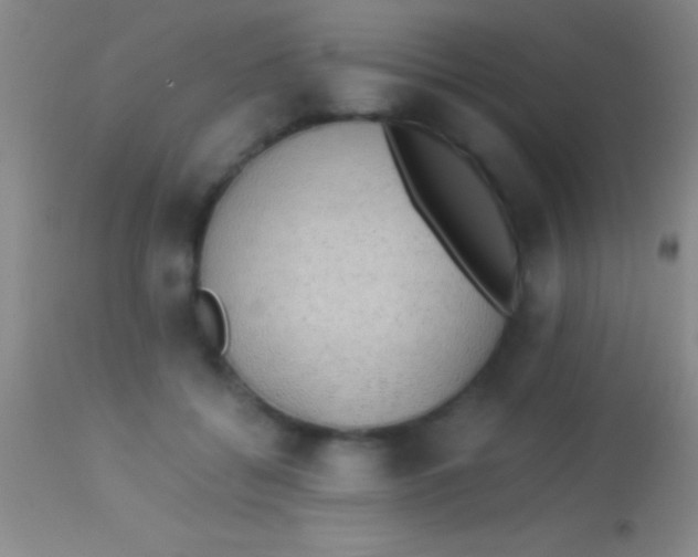 X0000113950556200910161942