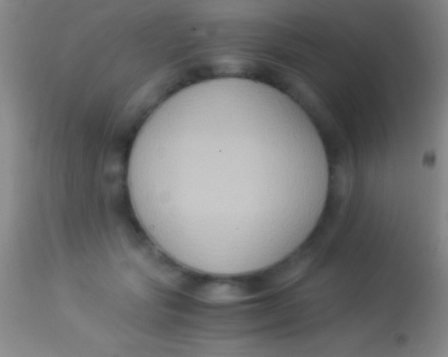 X0000113950557200910161942
