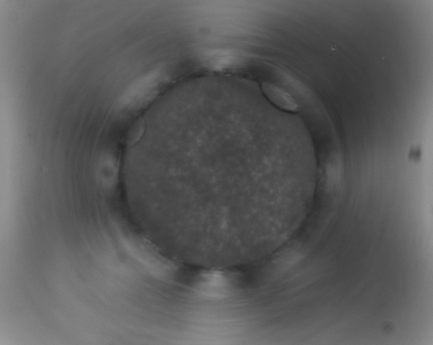 X0000113950558200910161942