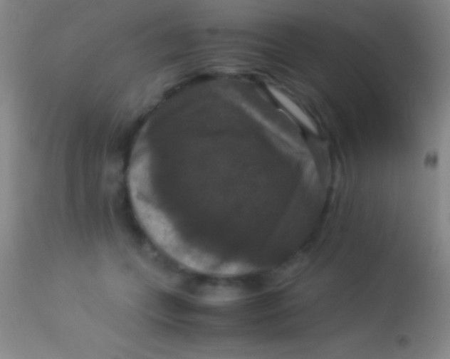 X0000113950559200910161942