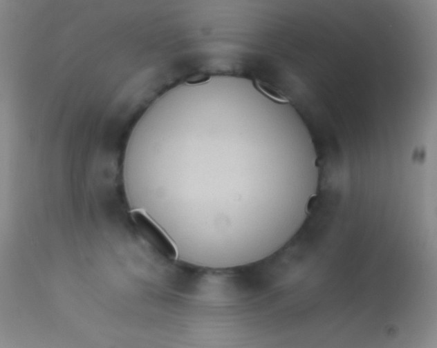 X0000113950560200910161942