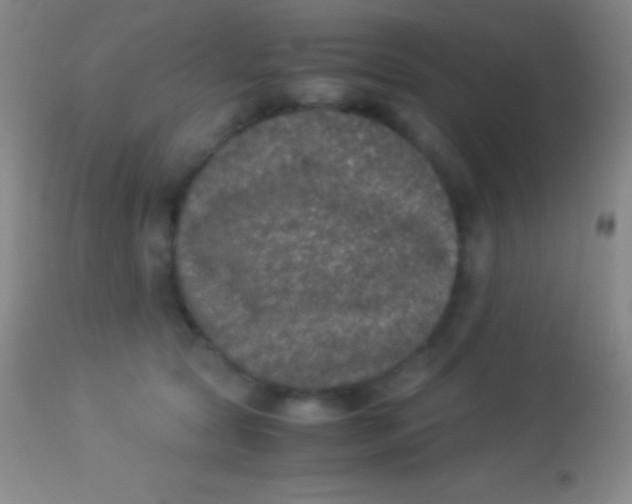 X0000113950561200910161942