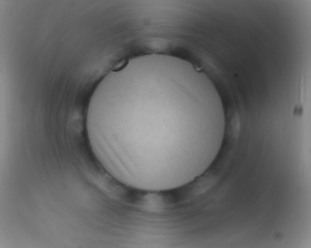 X0000113950562200910161942